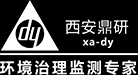 Xian Dingyan Technology